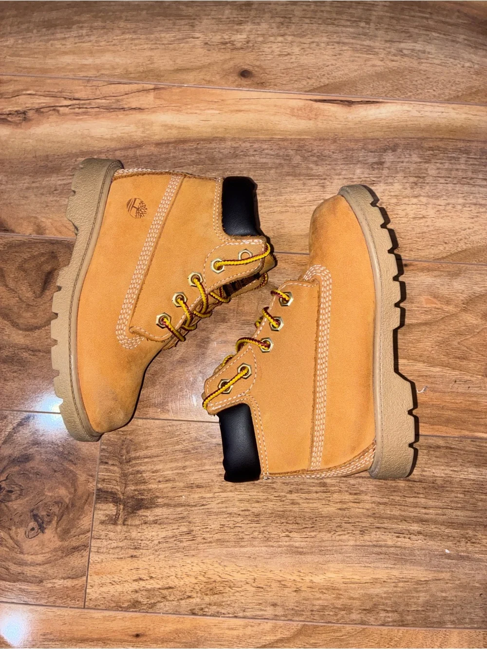 Timberland Toddler Classic 6-Inch Waterproof Boot - size 9
